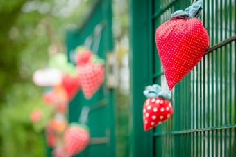 Stoff-Erdbeeren hängen am KiTa-Zaun