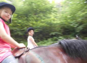 Auf dem Bild sind zwei Mädchen mit den Pferden zu sehen